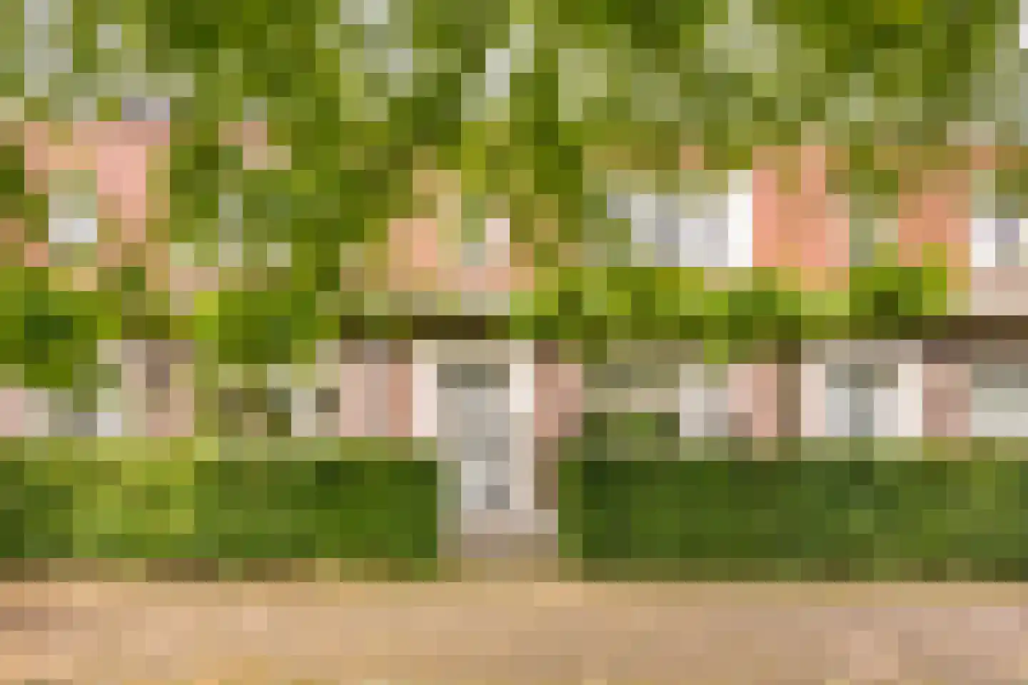 Claasgoed 16 Putten thumbnail 39