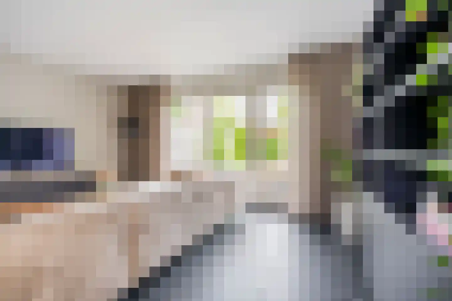 Claasgoed 16 Putten thumbnail 4