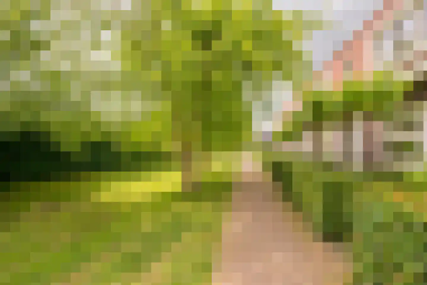 Claasgoed 16 Putten thumbnail 41