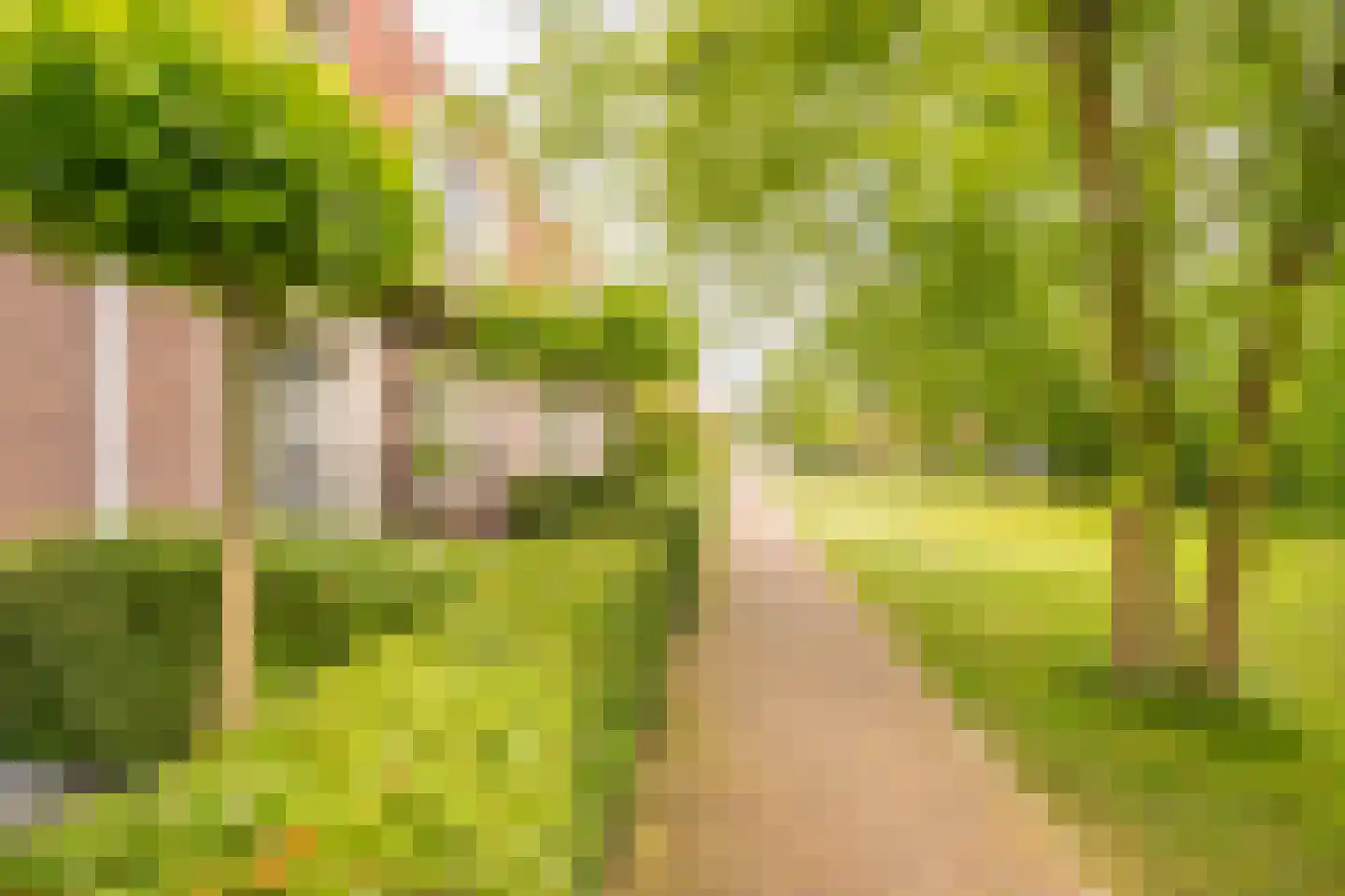 Claasgoed 16 Putten thumbnail 42