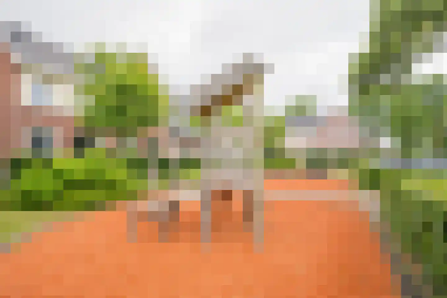 Claasgoed 16 Putten thumbnail 44
