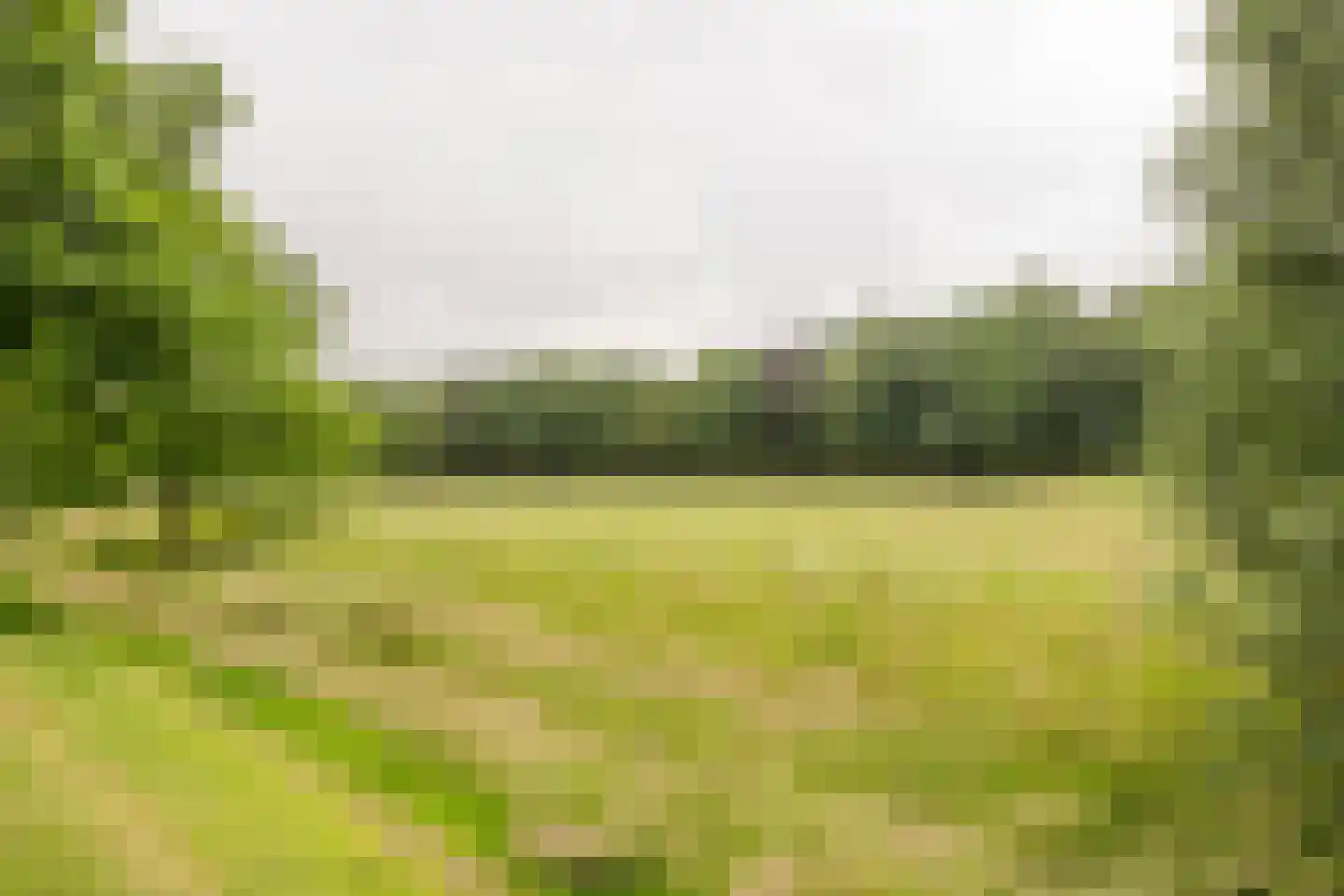 Claasgoed 16 Putten thumbnail 45