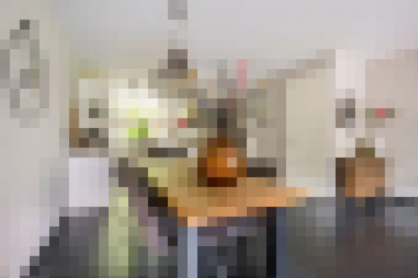 Claasgoed 16 Putten thumbnail 7