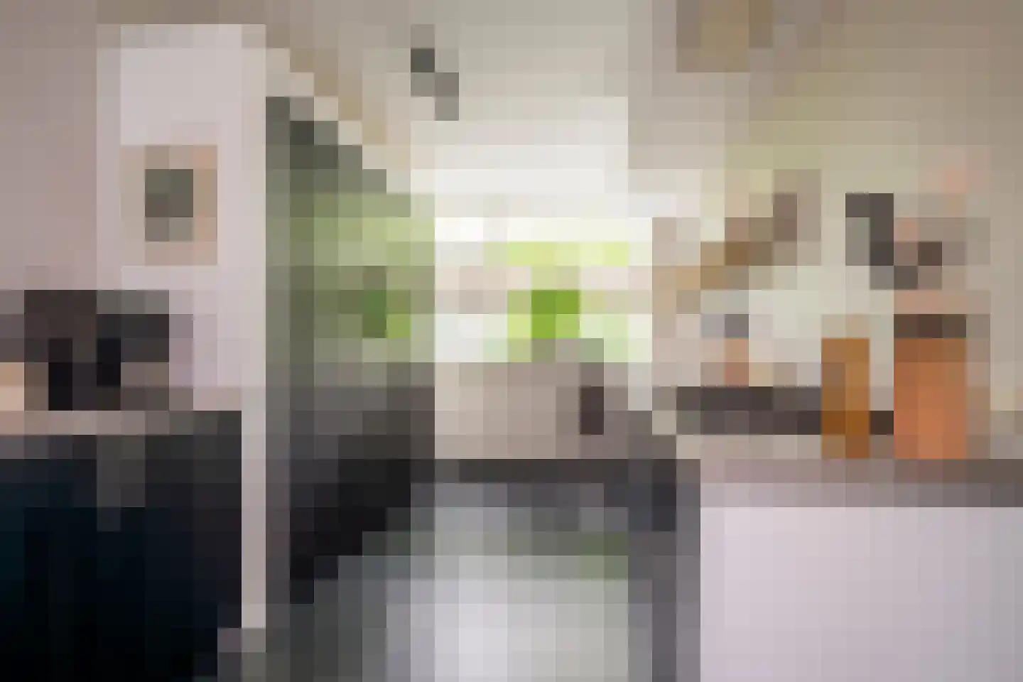 Claasgoed 16 Putten thumbnail 8