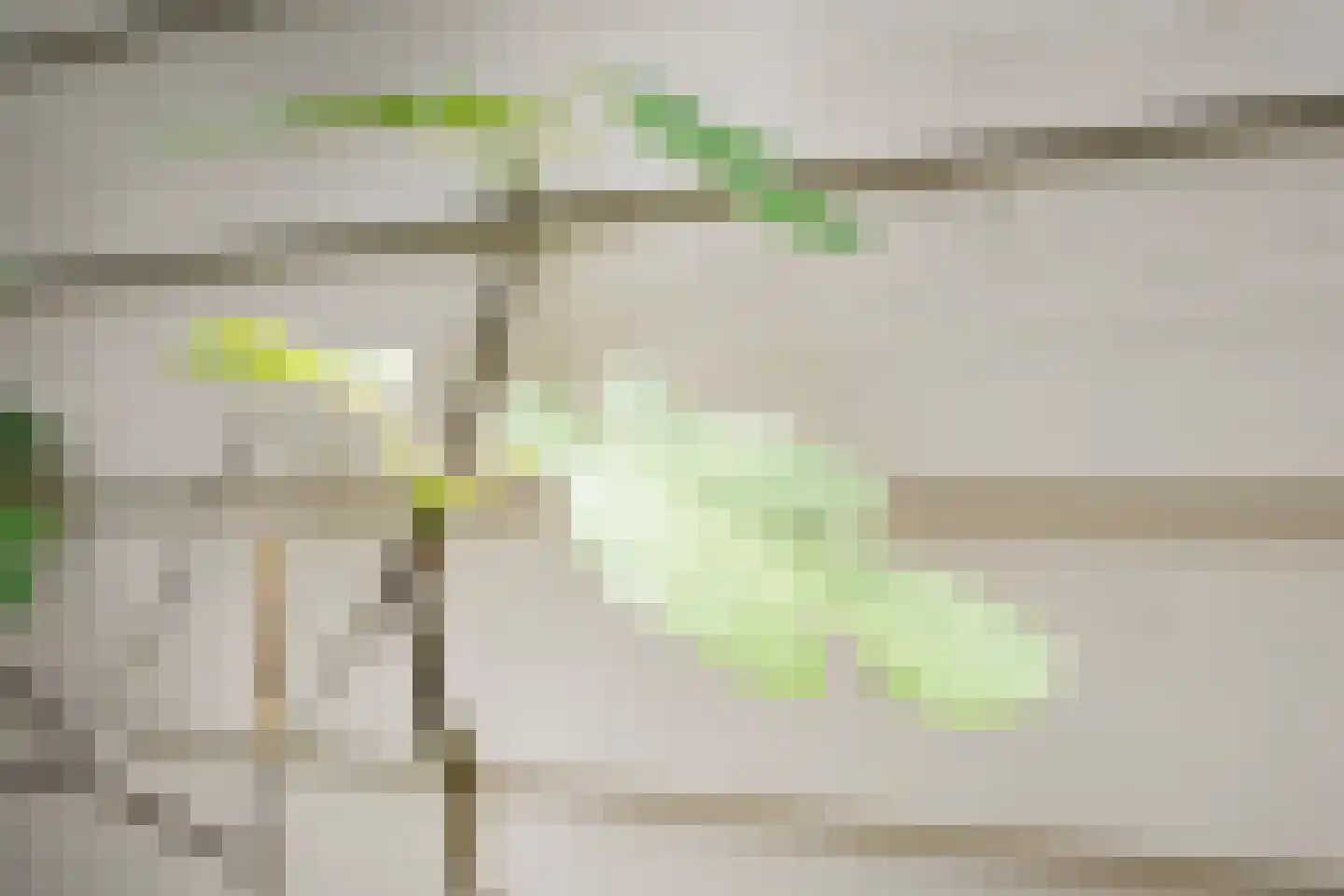Claasgoed 18 Putten thumbnail 23