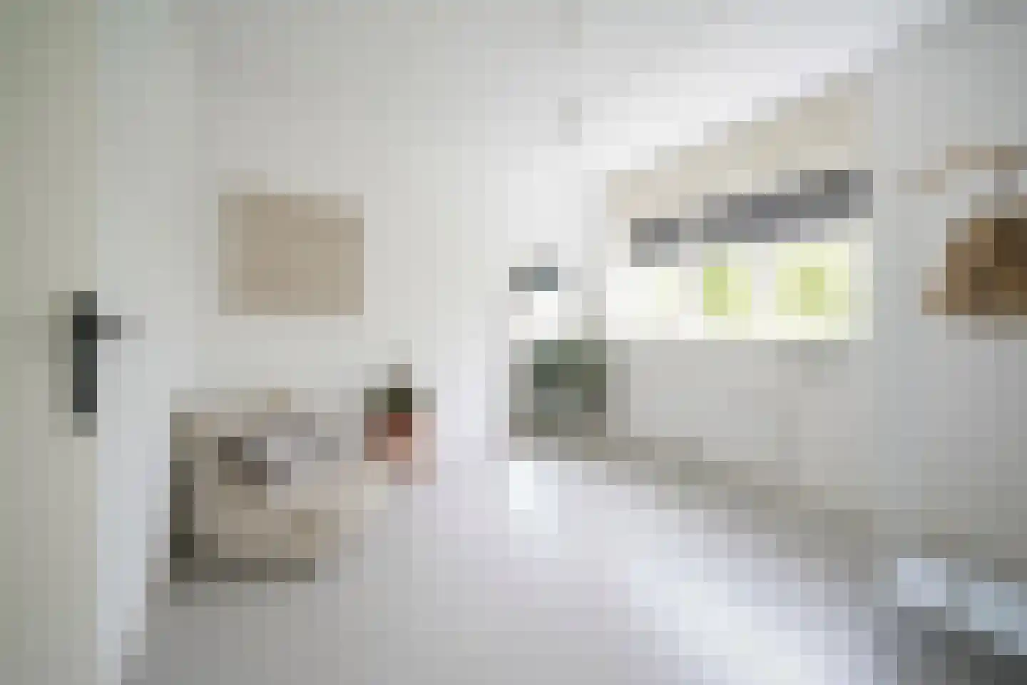 Claasgoed 18 Putten thumbnail 32