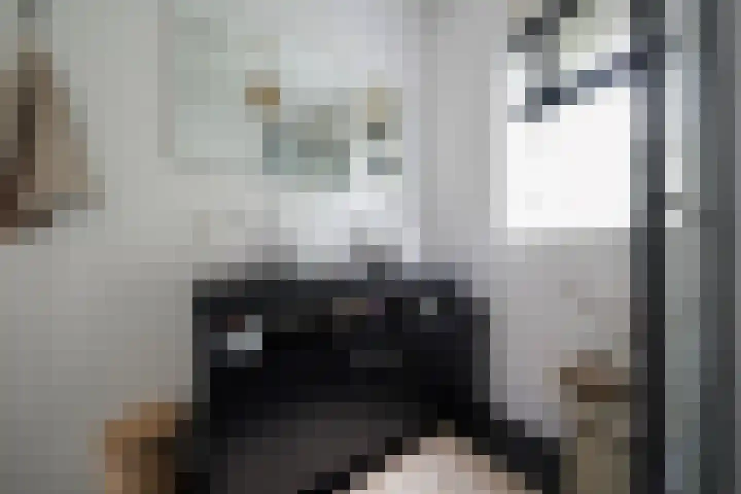 Claasgoed 18 Putten thumbnail 39