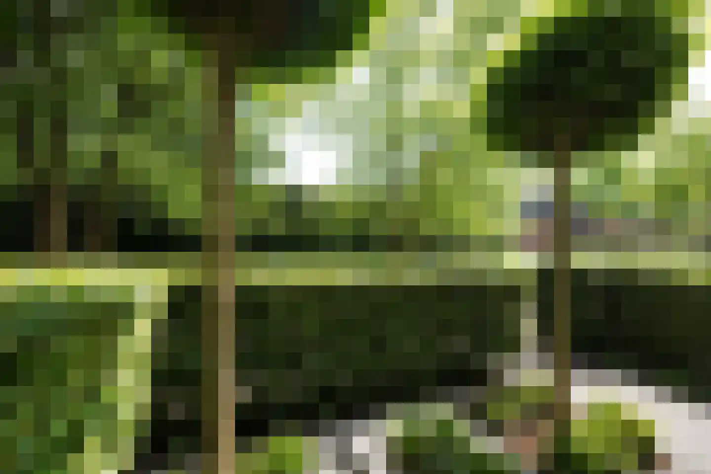 Claasgoed 18 Putten thumbnail 4