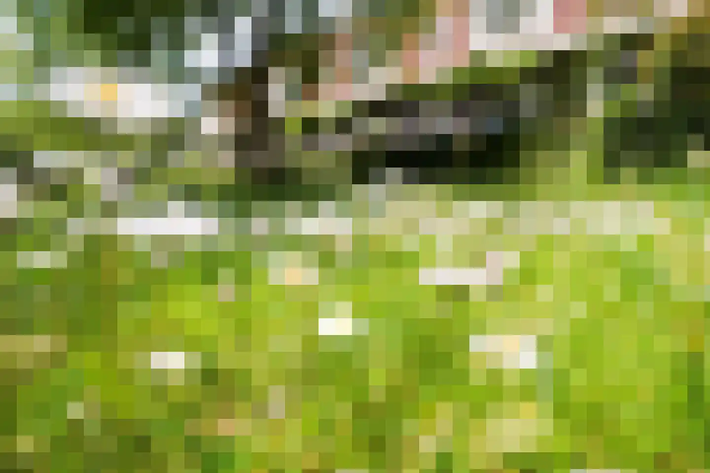 Claasgoed 18 Putten thumbnail 48