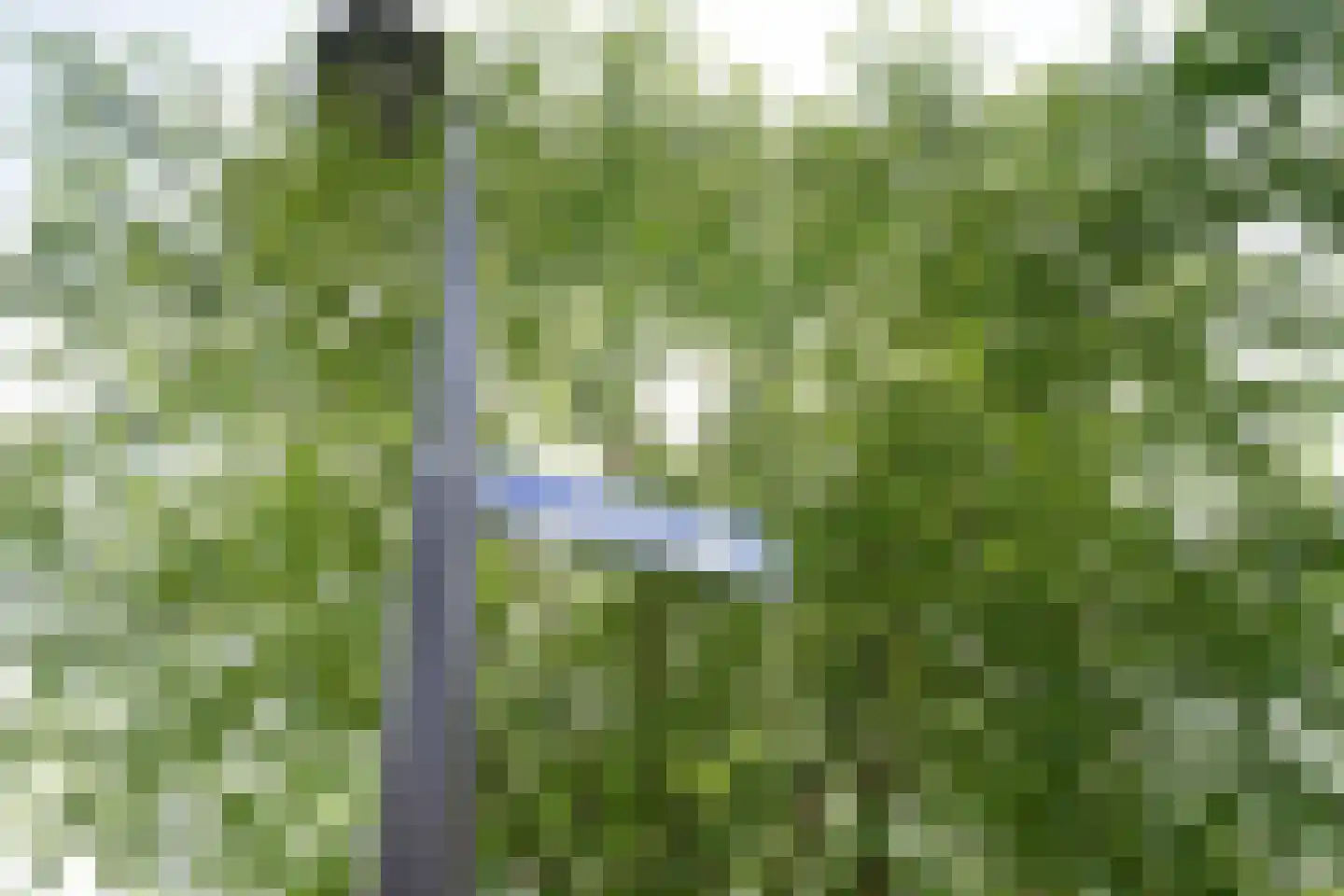 Claasgoed 18 Putten thumbnail 49