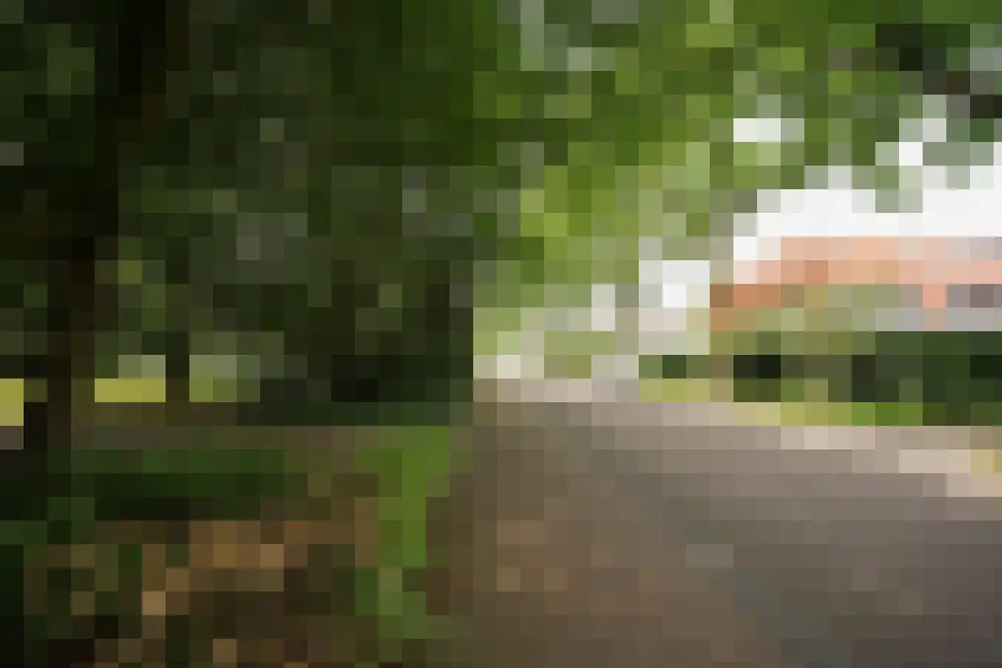 Claasgoed 18 Putten thumbnail 51