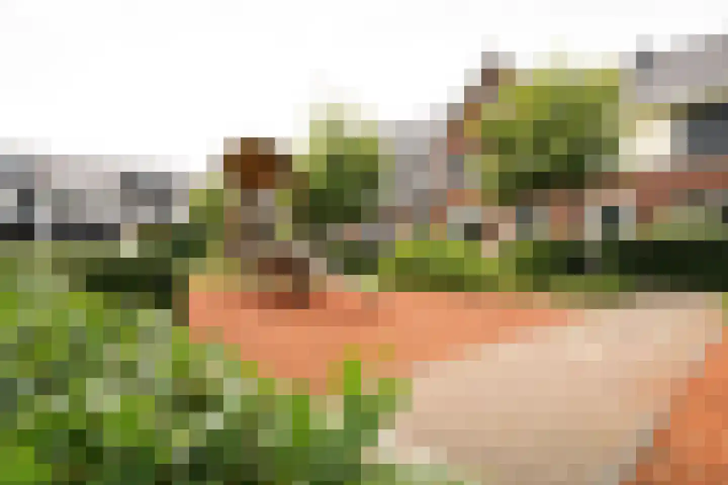 Claasgoed 18 Putten thumbnail 52