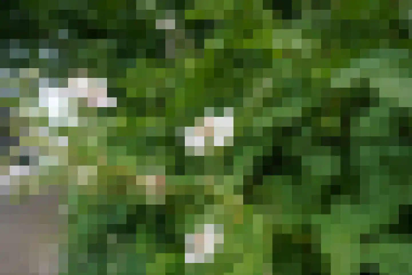 Claasgoed 18 Putten thumbnail 53