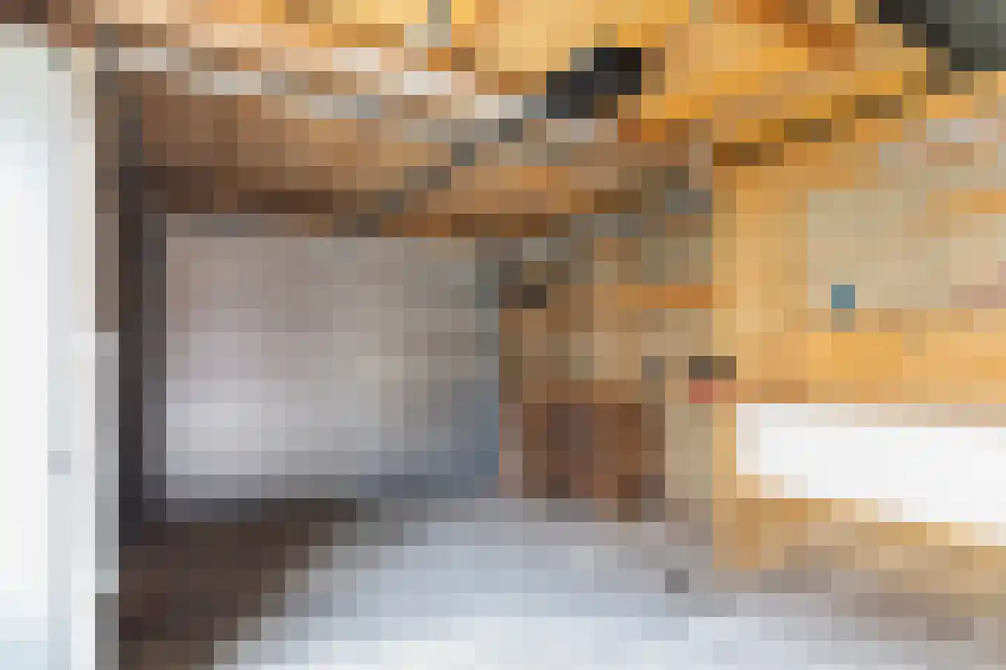 Claes Barthoutstraat 2 St.-Jacobiparochie thumbnail 25