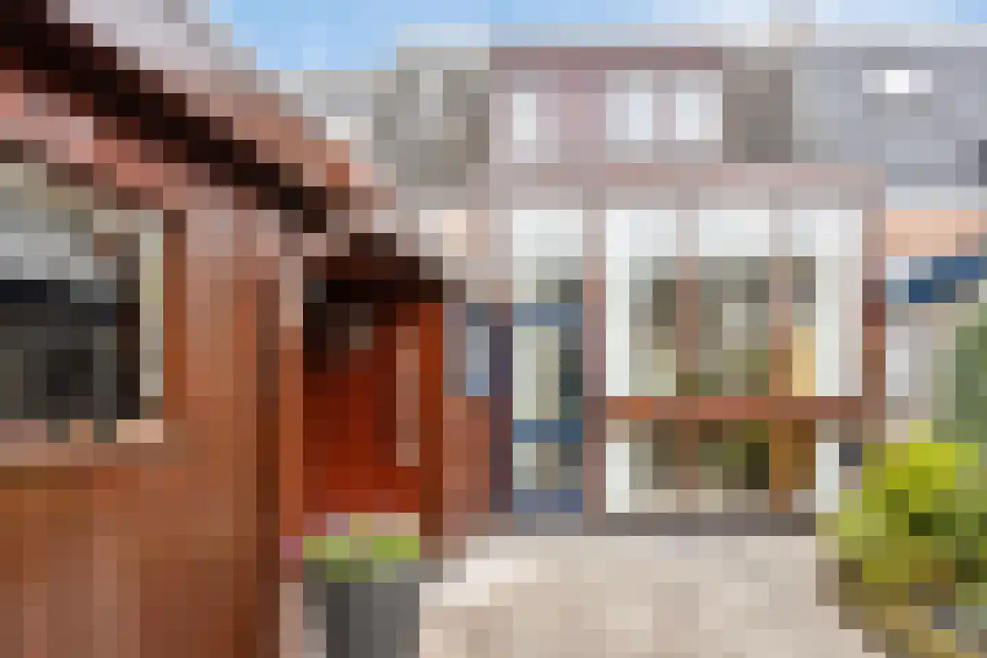 Claes Bockes Balckstraat 11 Leeuwarden thumbnail 29