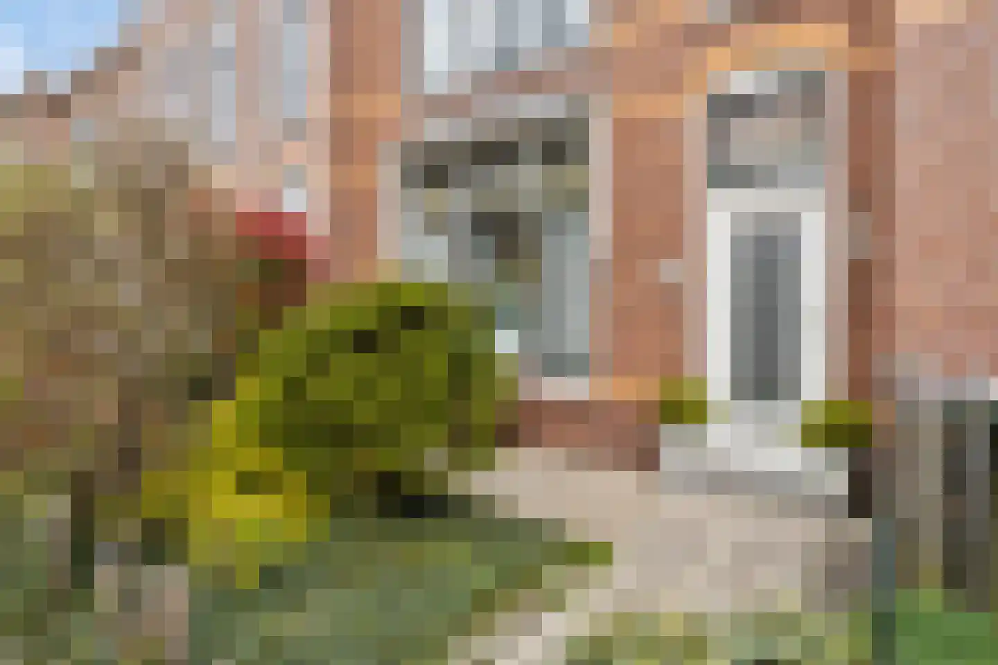 Claes Bockes Balckstraat 11 Leeuwarden thumbnail 4