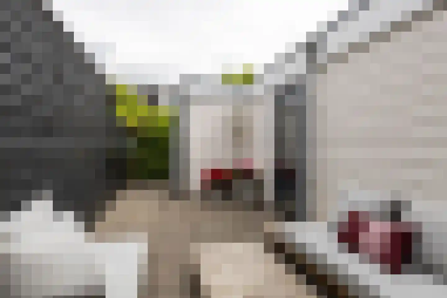 Claes Bockes Balckstraat 19 Leeuwarden thumbnail 48