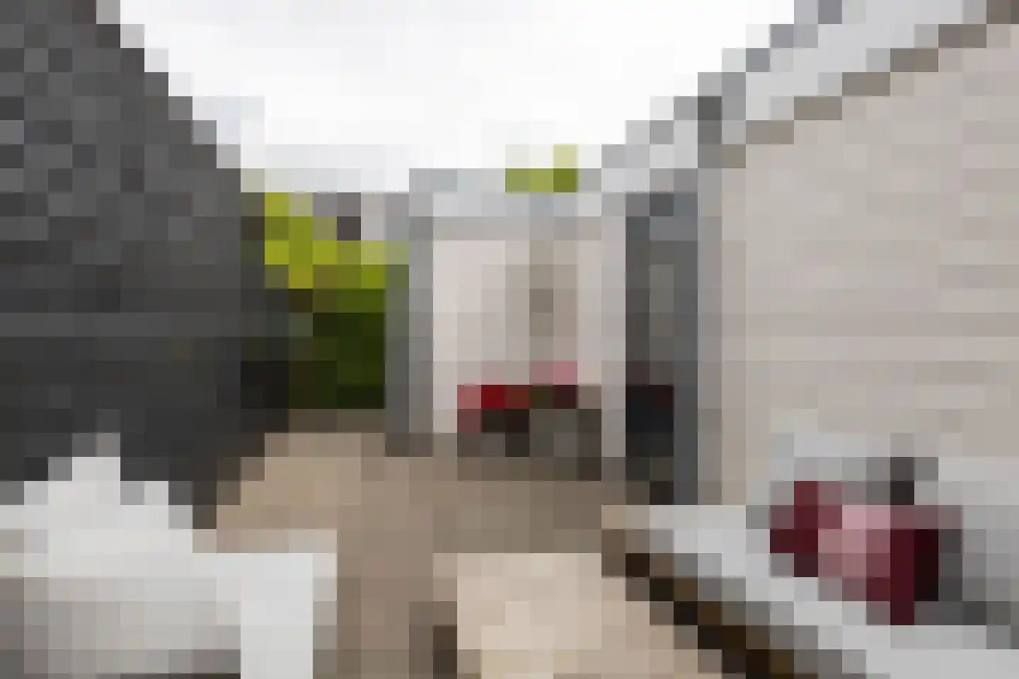 Claes Bockes Balckstraat 19 Leeuwarden thumbnail 5