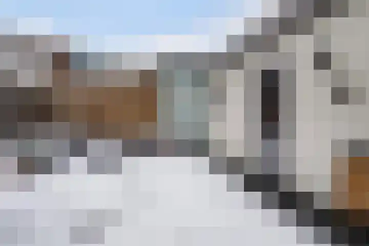 Claes Bockes Balckstraat 33 Leeuwarden thumbnail 21