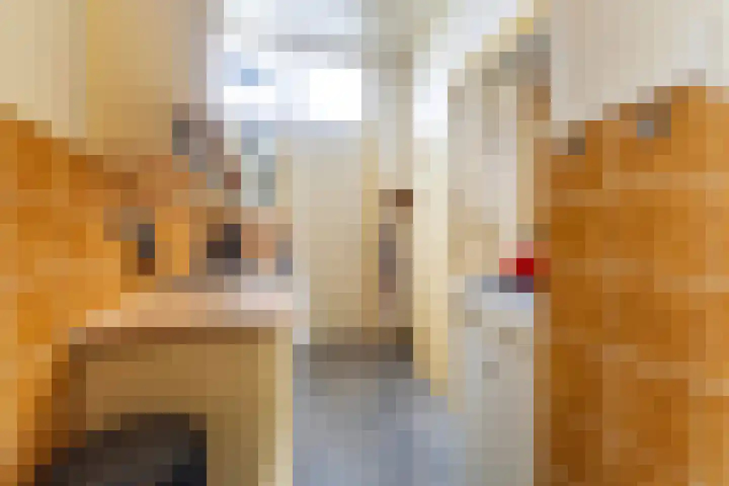 Claes Bockes Balckstraat 5 Leeuwarden thumbnail 19