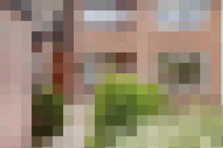 Claes Boesserstraat 7 Edam thumbnail 4