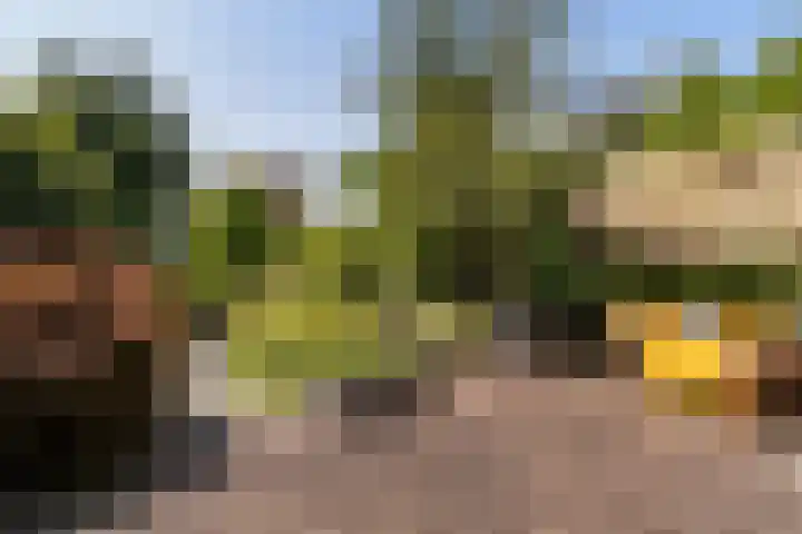 Claes Compaeneiland 3 Oostzaan thumbnail 13
