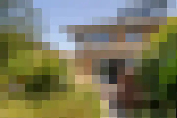 Claes Compaeneiland 3 Oostzaan thumbnail 15