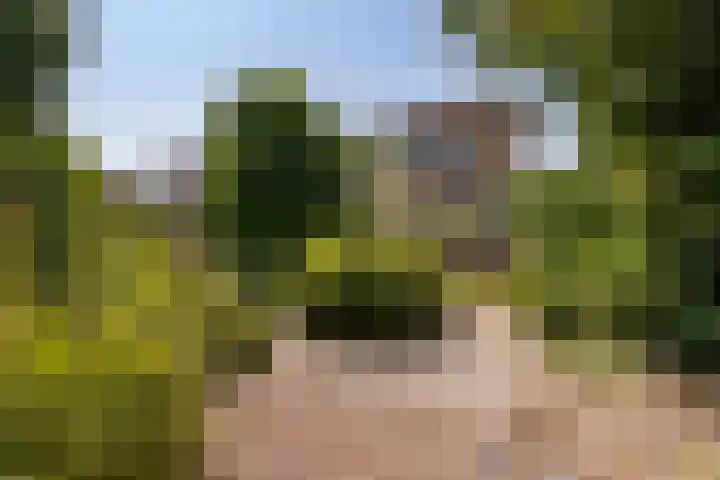 Claes Compaeneiland 3 Oostzaan thumbnail 17