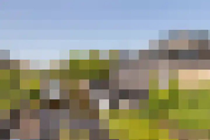 Claes Compaeneiland 3 Oostzaan thumbnail 20