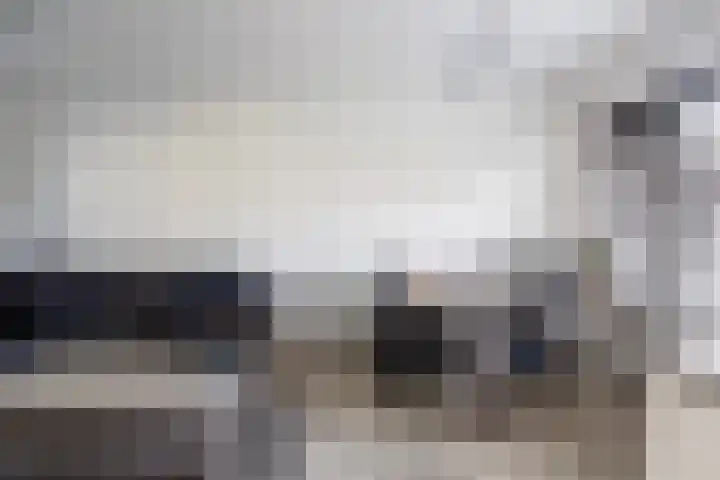 Claes Danckaertzstraat 16 Klaaswaal thumbnail 10