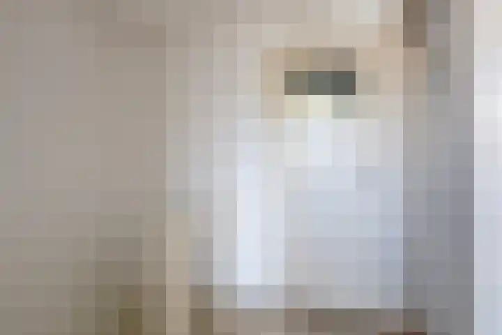 Claes Danckaertzstraat 16 Klaaswaal thumbnail 14