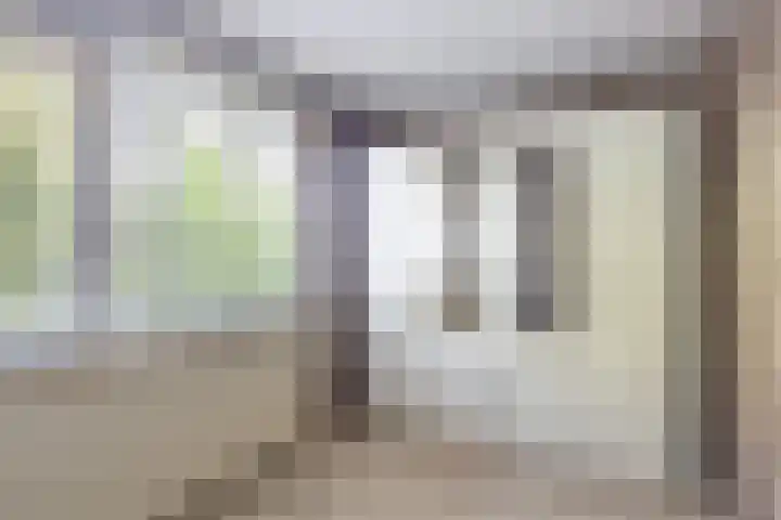 Claes Danckaertzstraat 16 Klaaswaal thumbnail 17