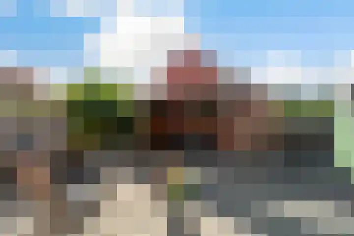 Claes Danckaertzstraat 16 Klaaswaal thumbnail 26