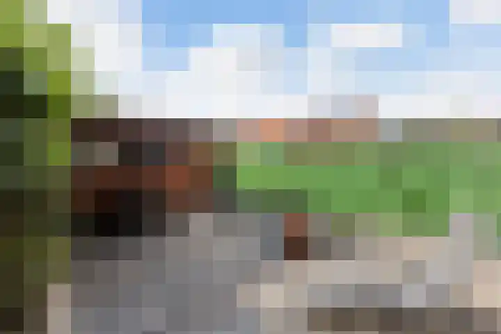 Claes Danckaertzstraat 16 Klaaswaal thumbnail 27