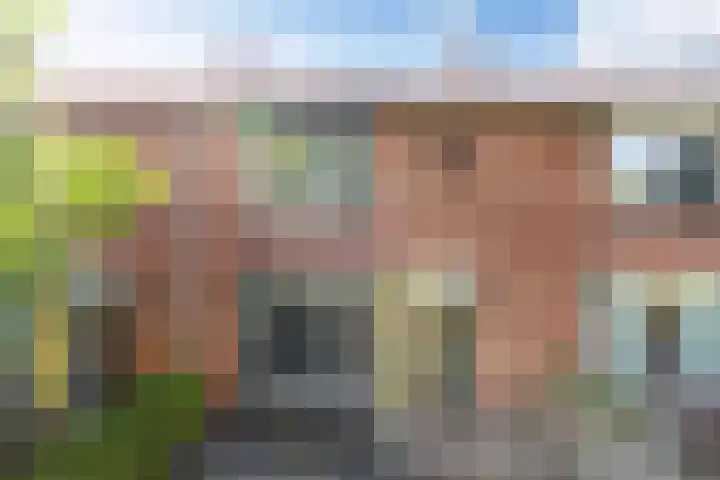 Claes Danckaertzstraat 16 Klaaswaal thumbnail 30