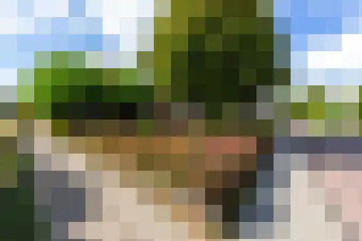 Claes Danckaertzstraat 16 Klaaswaal thumbnail 31