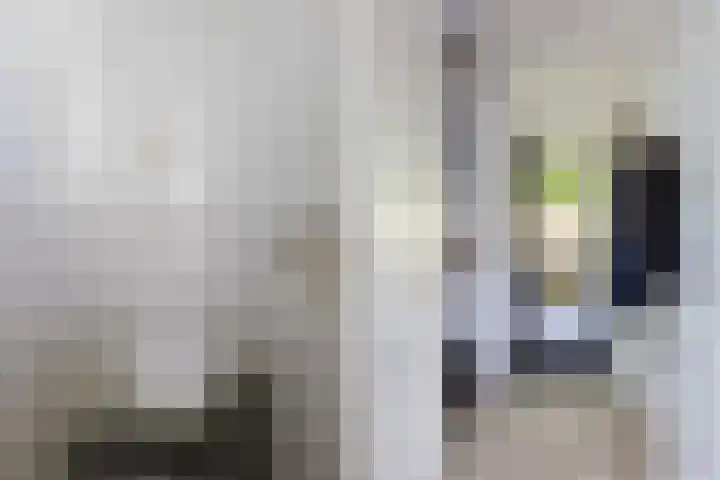 Claes Danckaertzstraat 16 Klaaswaal thumbnail 4