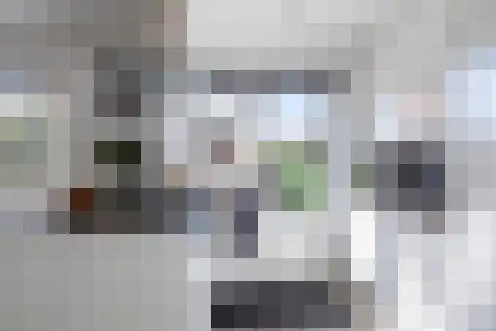 Claes Danckaertzstraat 16 Klaaswaal thumbnail 6