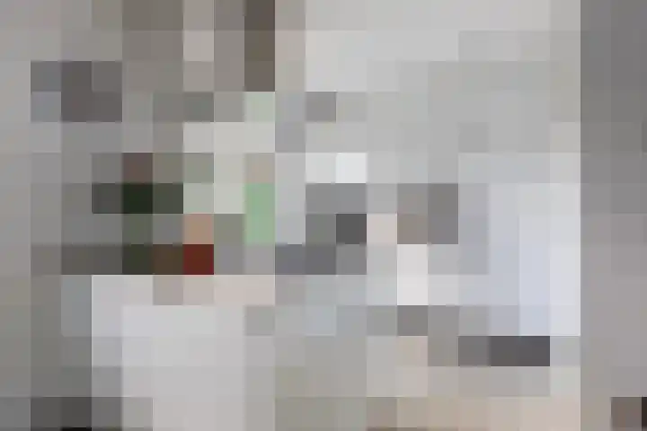 Claes Danckaertzstraat 16 Klaaswaal thumbnail 7