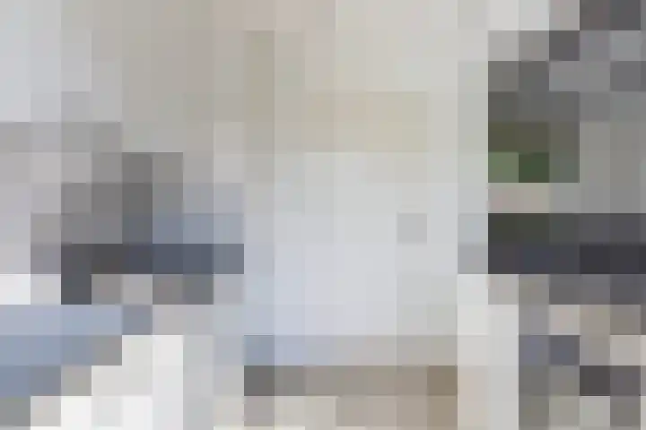 Claes Danckaertzstraat 16 Klaaswaal thumbnail 8