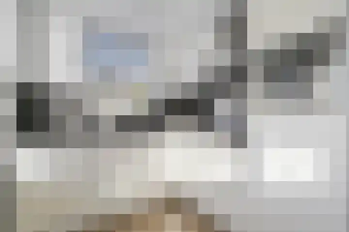 Claes Danckaertzstraat 26 Klaaswaal thumbnail 10
