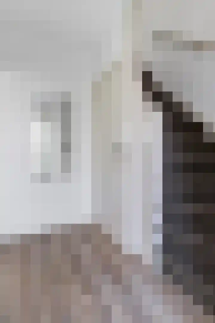 Claes Danckaertzstraat 26 Klaaswaal thumbnail 30