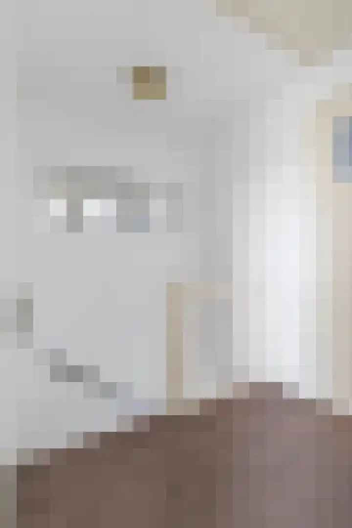 Claes Danckaertzstraat 26 Klaaswaal thumbnail 31