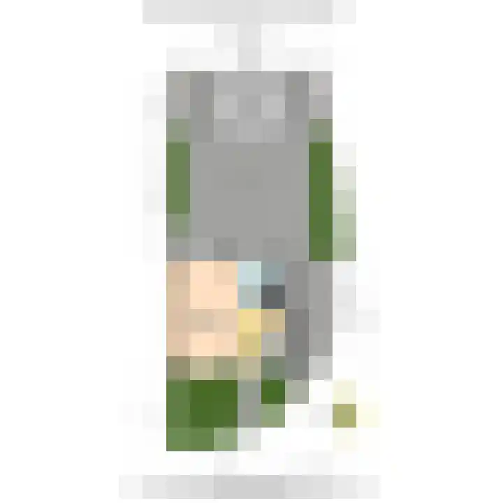 Claes Danckaertzstraat 26 Klaaswaal thumbnail 38