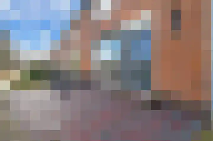 Claes Danckaertzstraat 26 Klaaswaal thumbnail 4