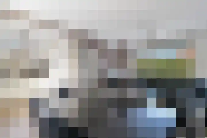 Claes Danckaertzstraat 26 Klaaswaal thumbnail 8