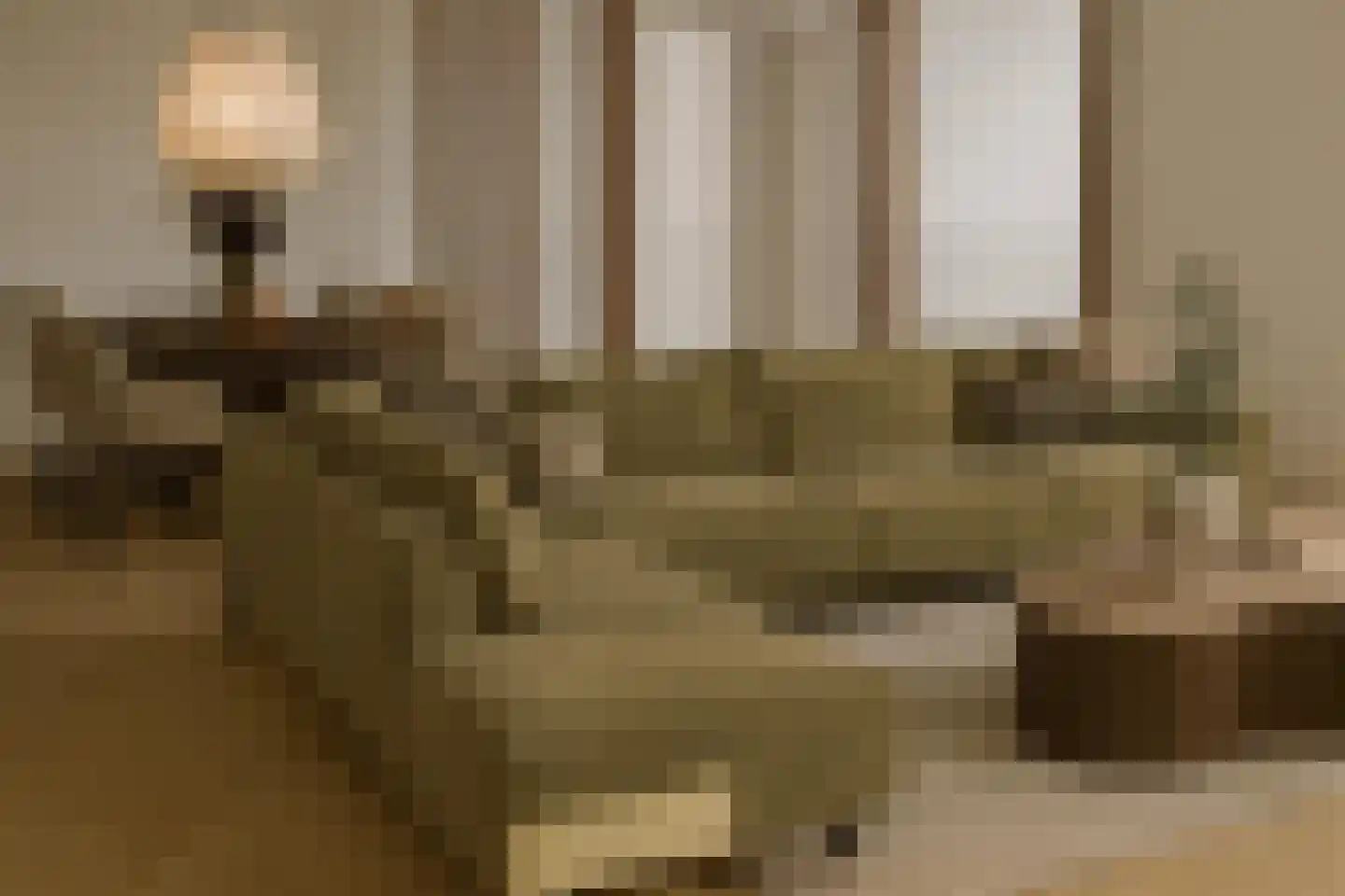 Claes Danckaertzstraat 6 B Klaaswaal thumbnail 8