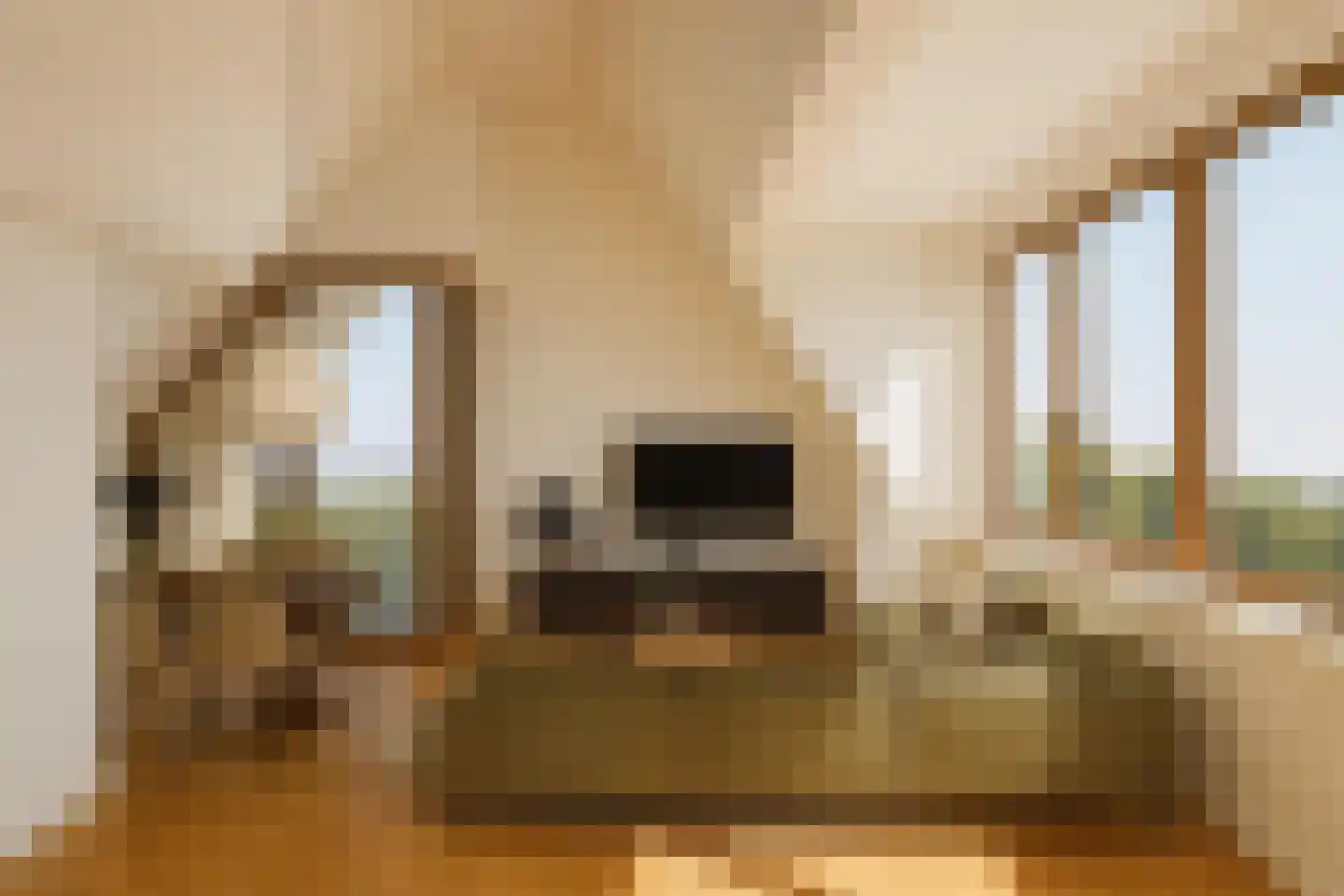 Claes Danckaertzstraat 6 C Klaaswaal thumbnail 4