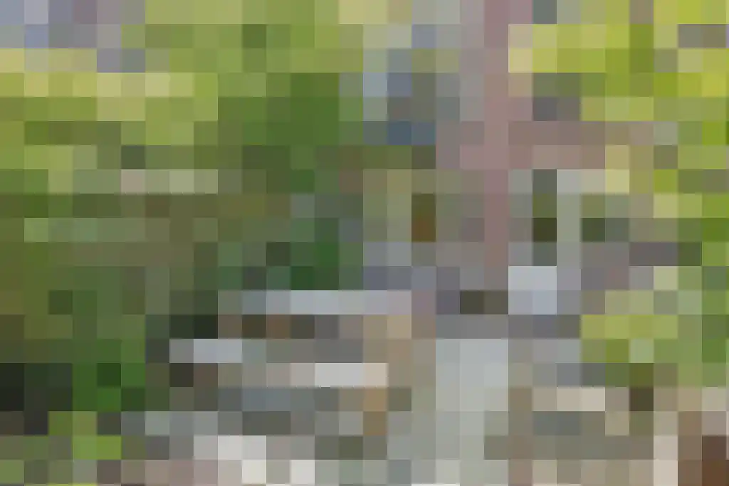 Claes de Vrieselaan 10 B Rotterdam thumbnail 36