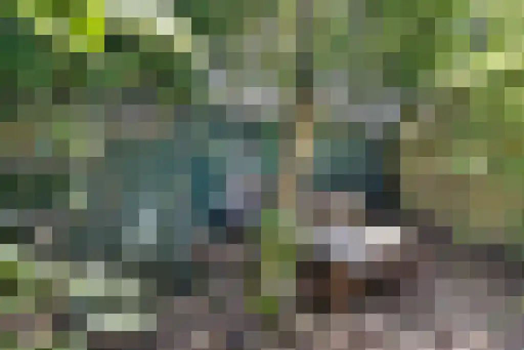 Claes de Vrieselaan 10 B Rotterdam thumbnail 37